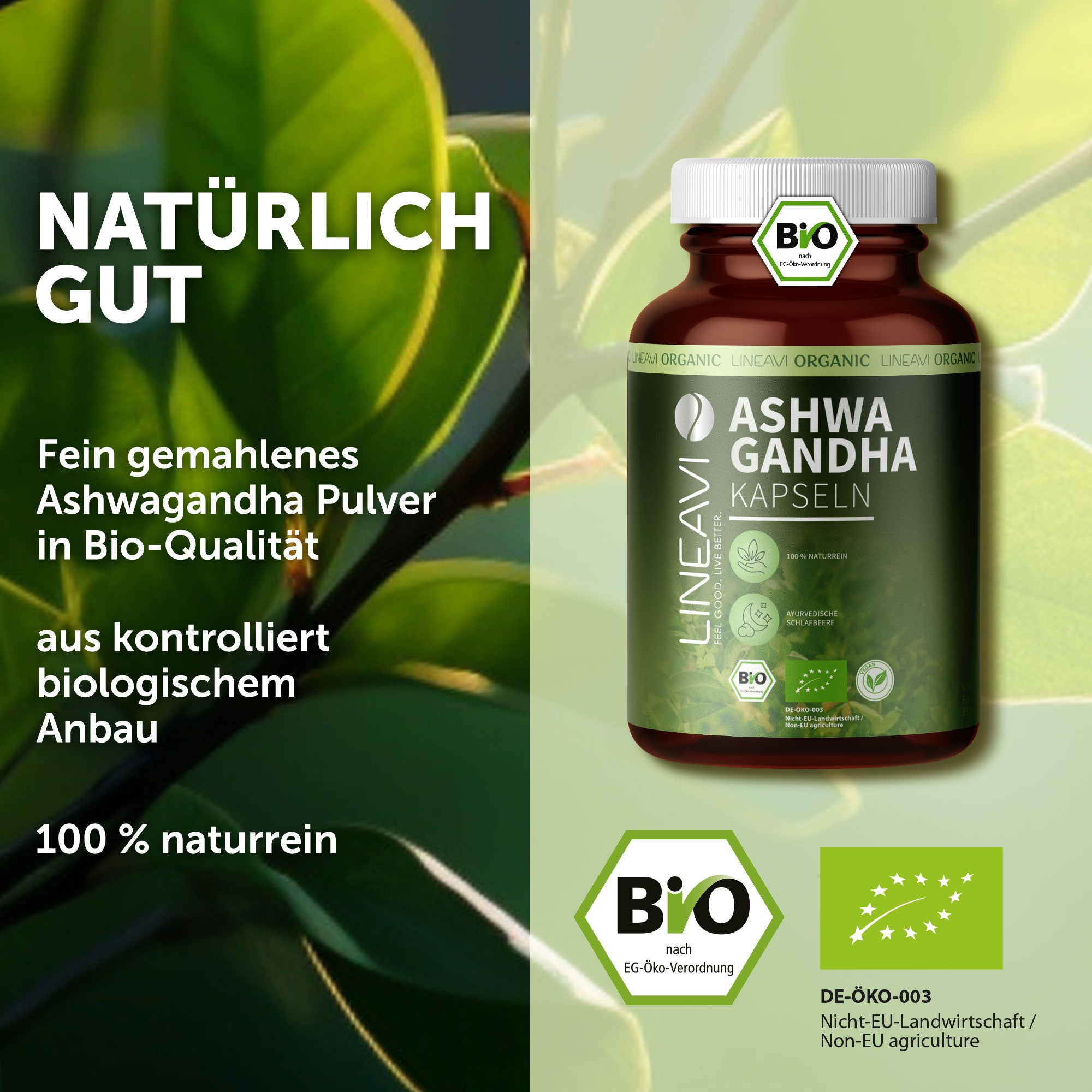 Ashwagandha Kapseln bio (150 Kapseln)