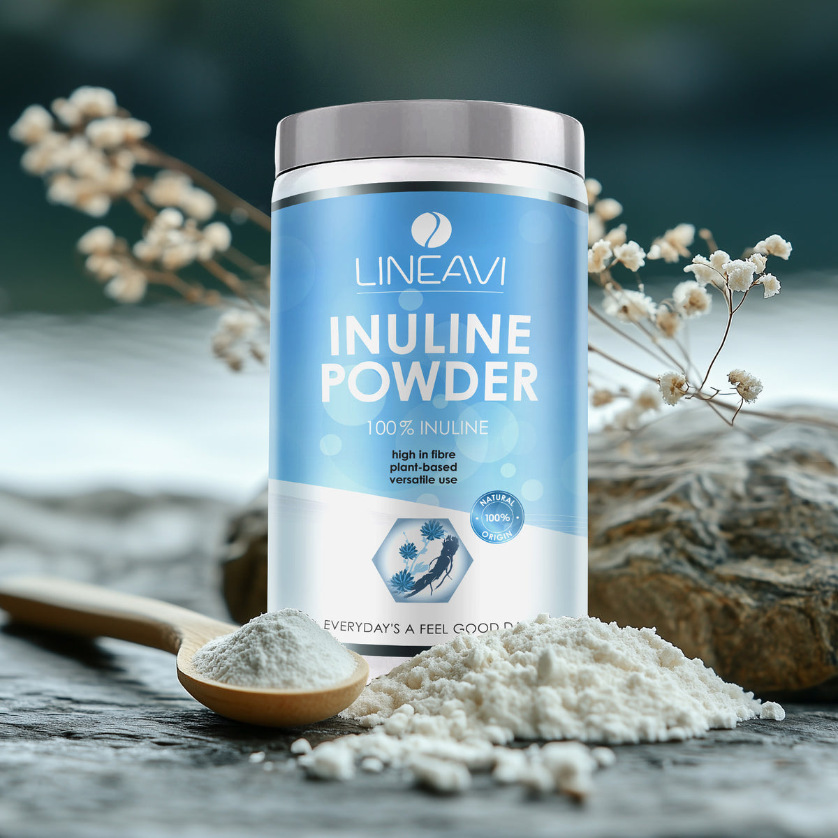 Inuline en poudre (500g)