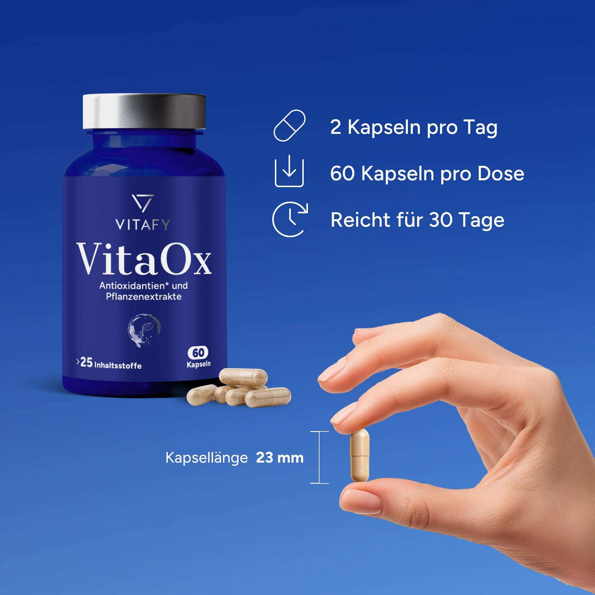 VitaOx Complexe protection cellulaire (60 gélules)