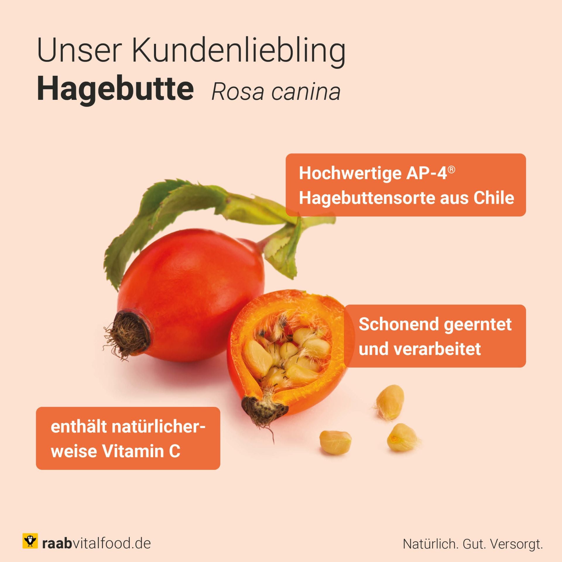 Bio Hagebutten Pulver (500g)