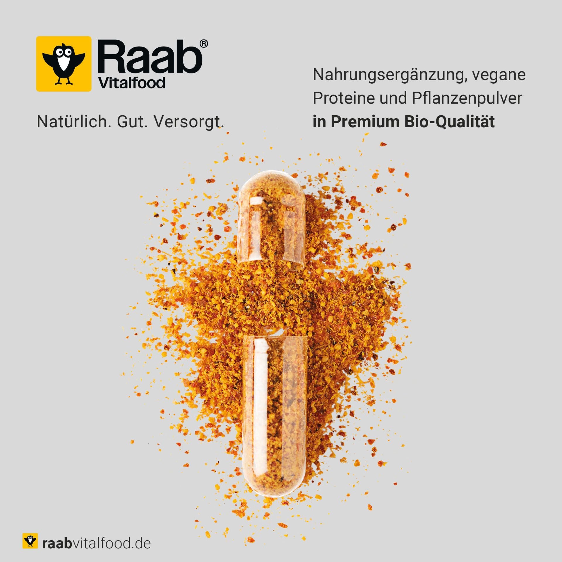 Bio Hagebutten Pulver (500g)