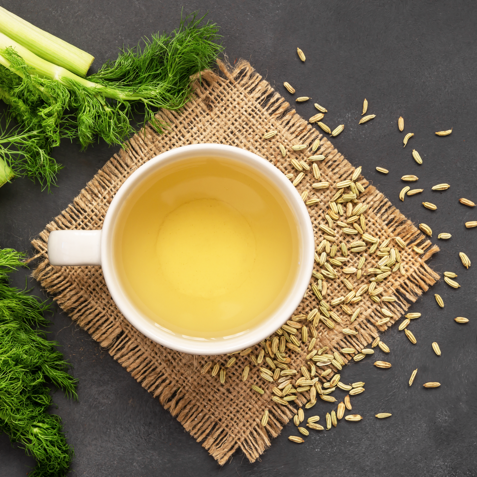 Fenchelsamen ganz Bio (500g)