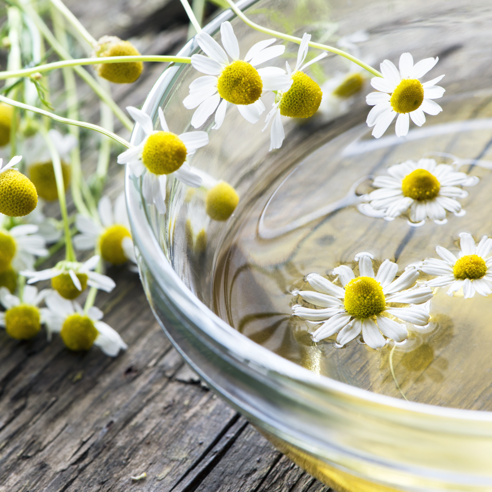 Fleurs de camomille entières bio (250g)