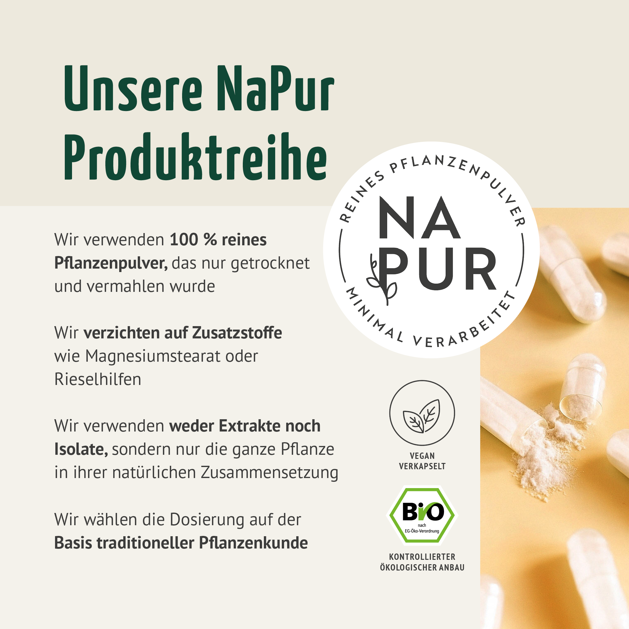 Gélules d'Ashwagandha Bio Recharge (400 gélules)