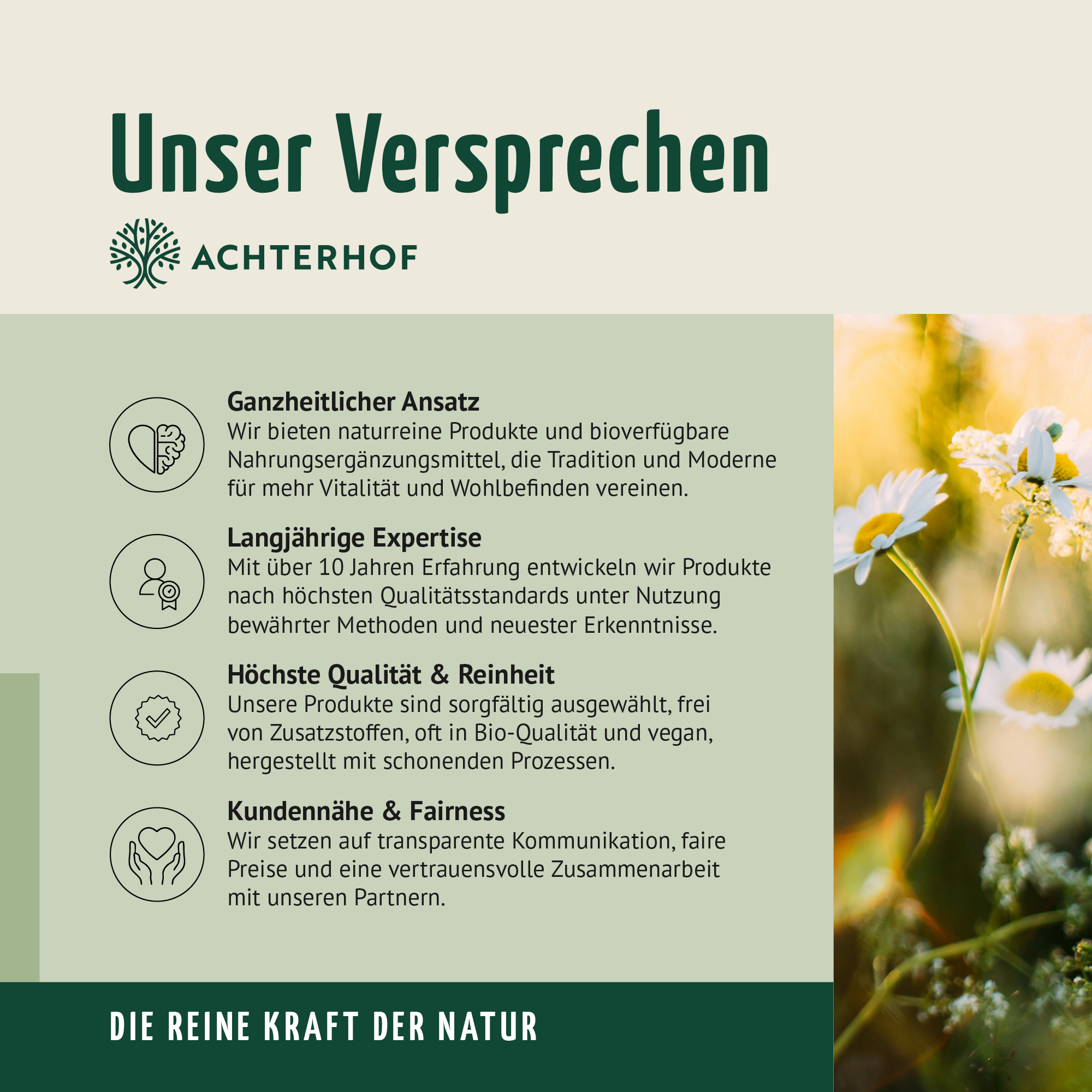 Biotin + Zink + Selen Kapseln (120 Kapseln)