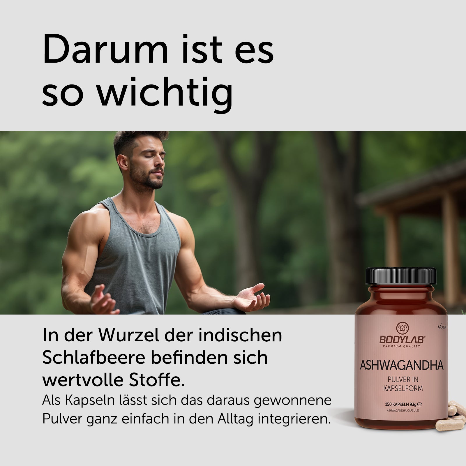 EXKLUSIVER DEAL: 5für2 Muskelpower-Deal mit Whey, Creatine, Omega-3 & Ashwagandha
