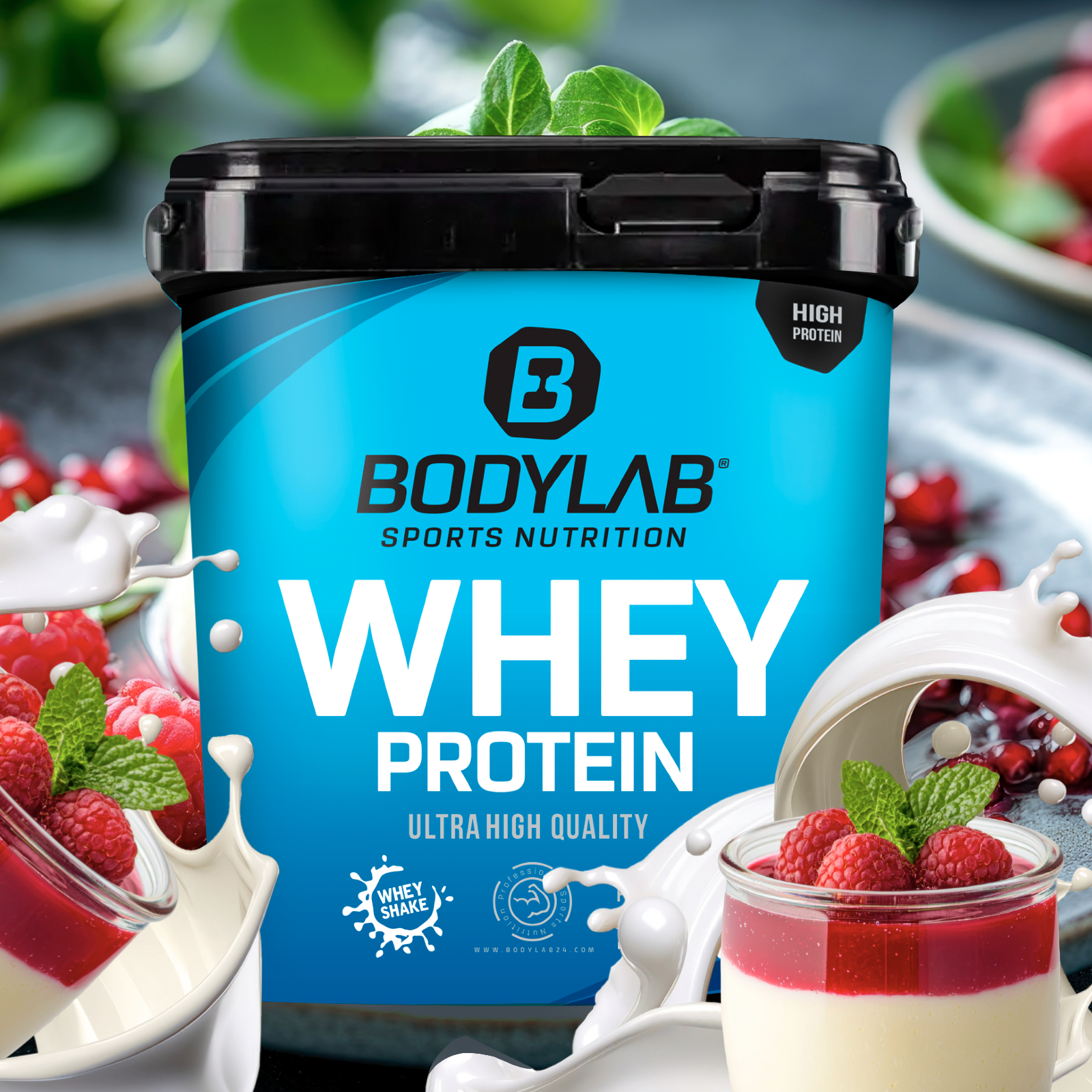 Whey Protein (2000g) Pannacotta