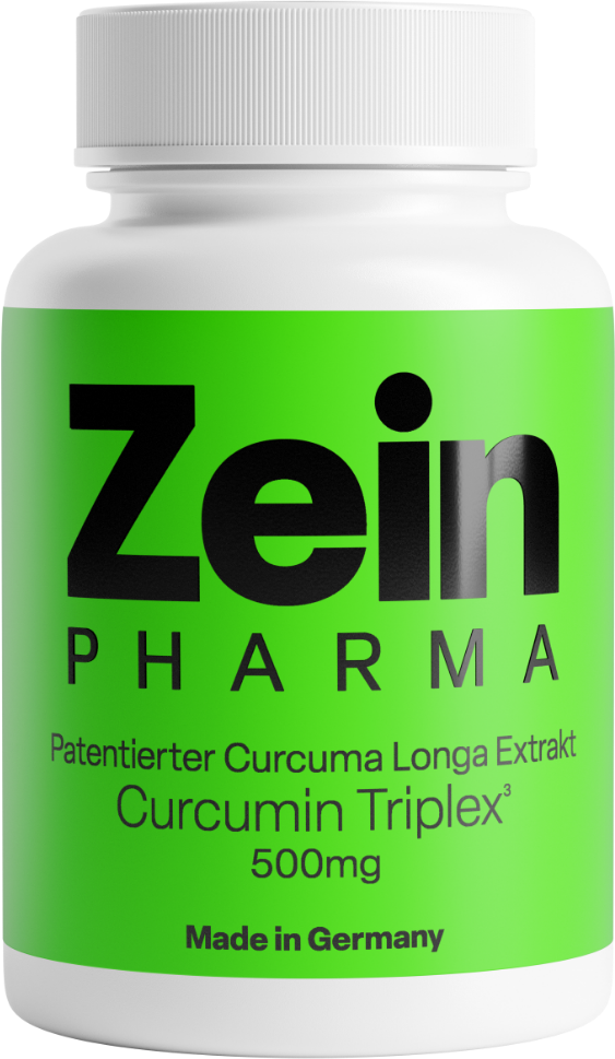 Curcumine-Triplex³ 500 mg (90 gélules)