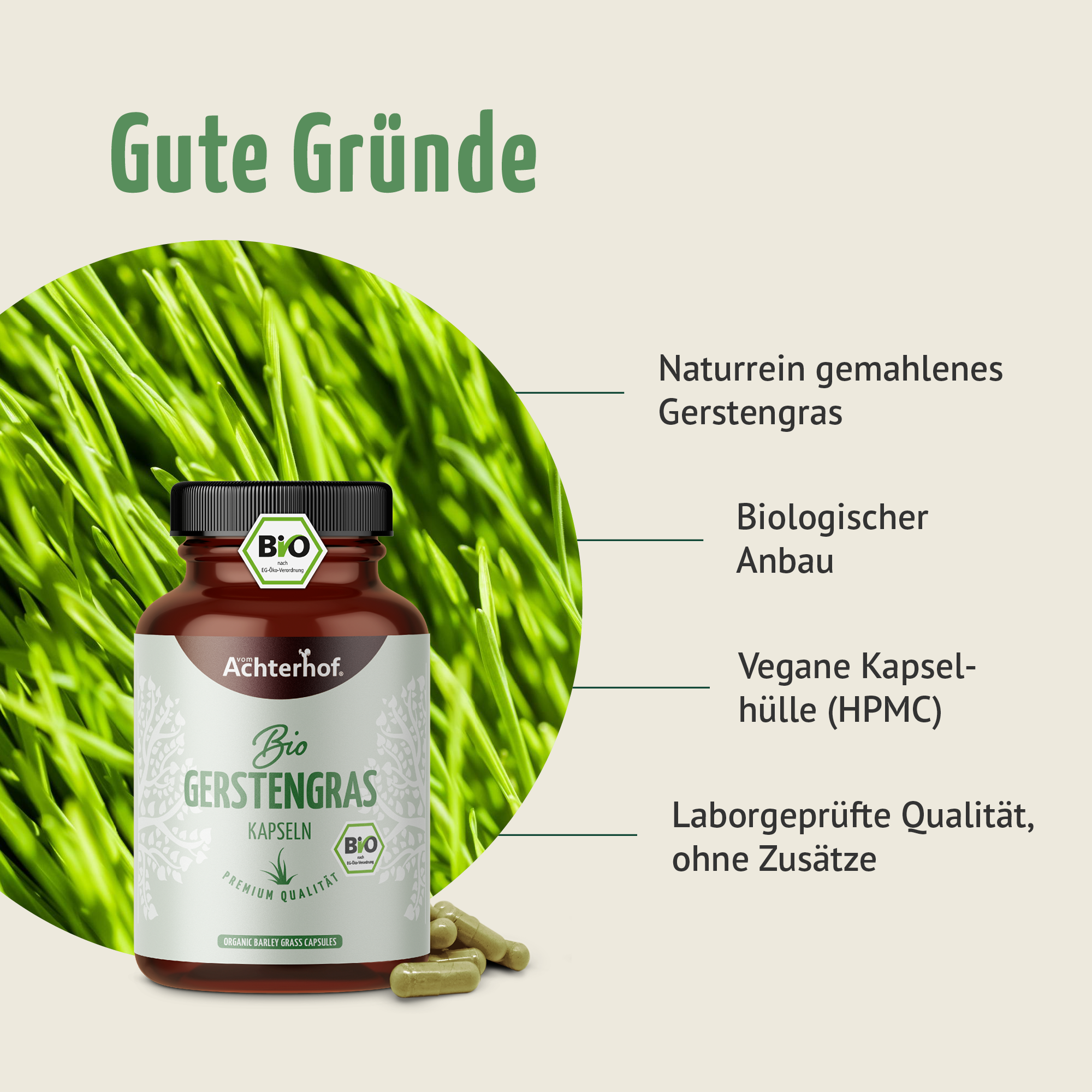 Gerstengras Kapseln Bio (180 Kapseln)