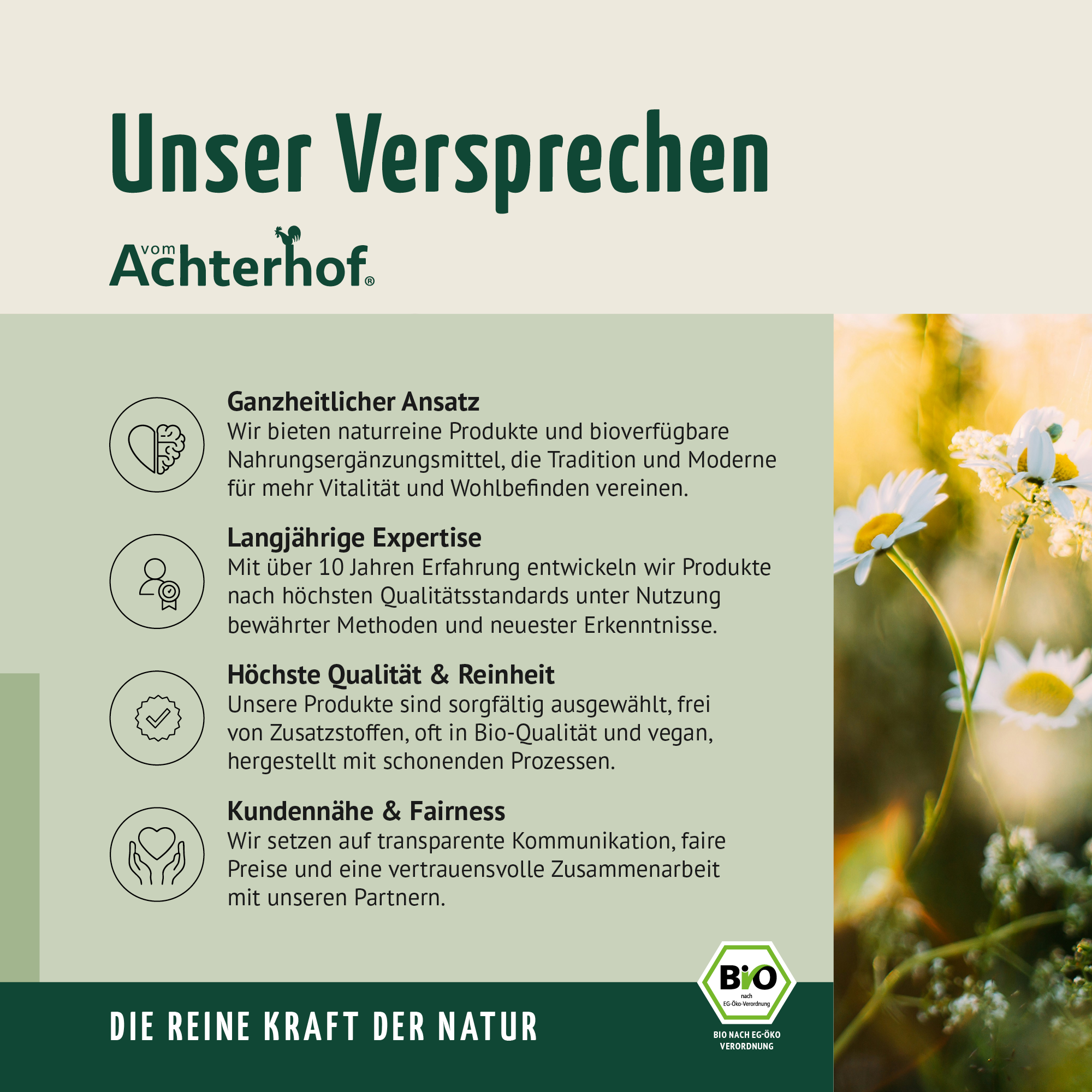 Gerstengras Pulver Bio (500g)