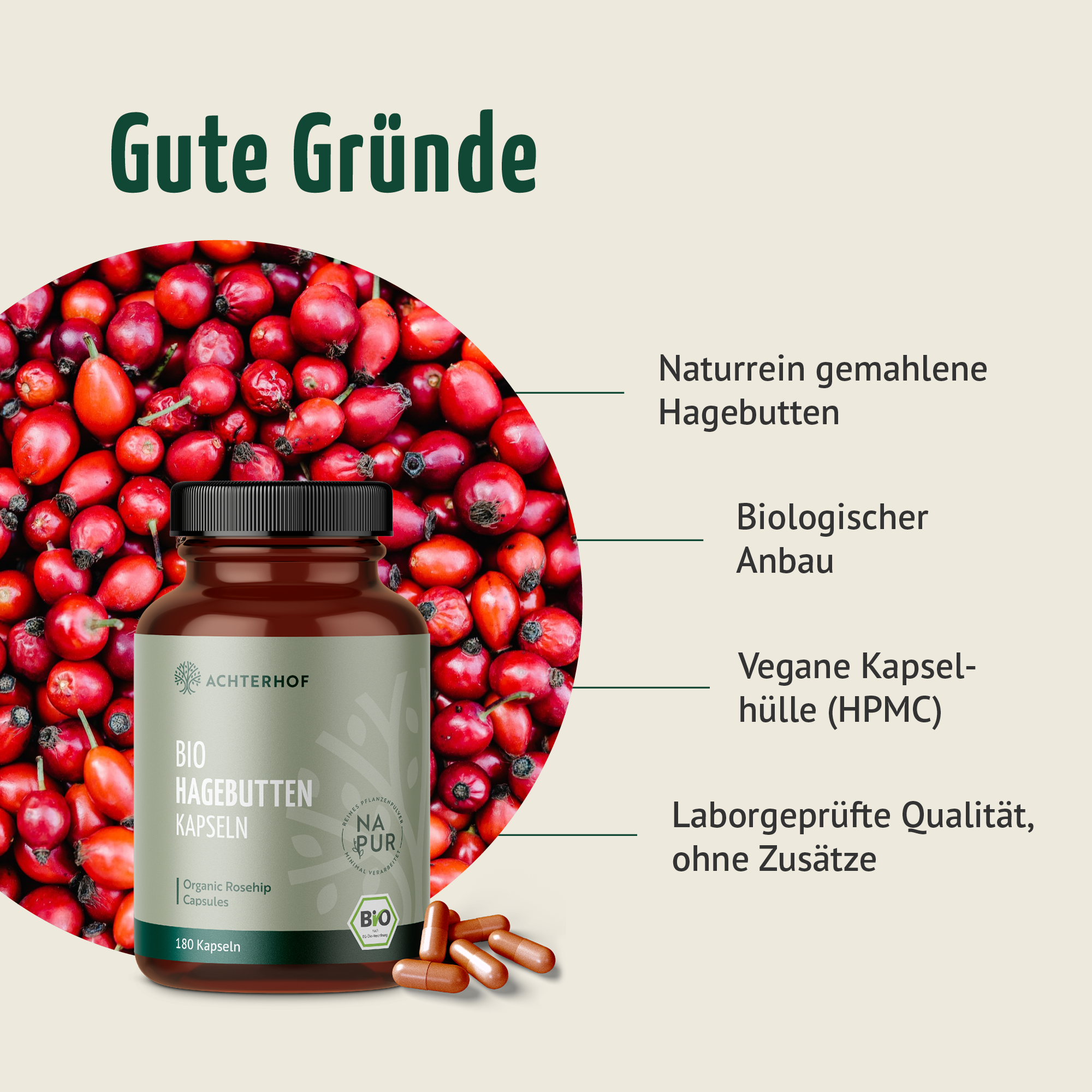 Gélules de cynorrhodon bio (180 gélules)