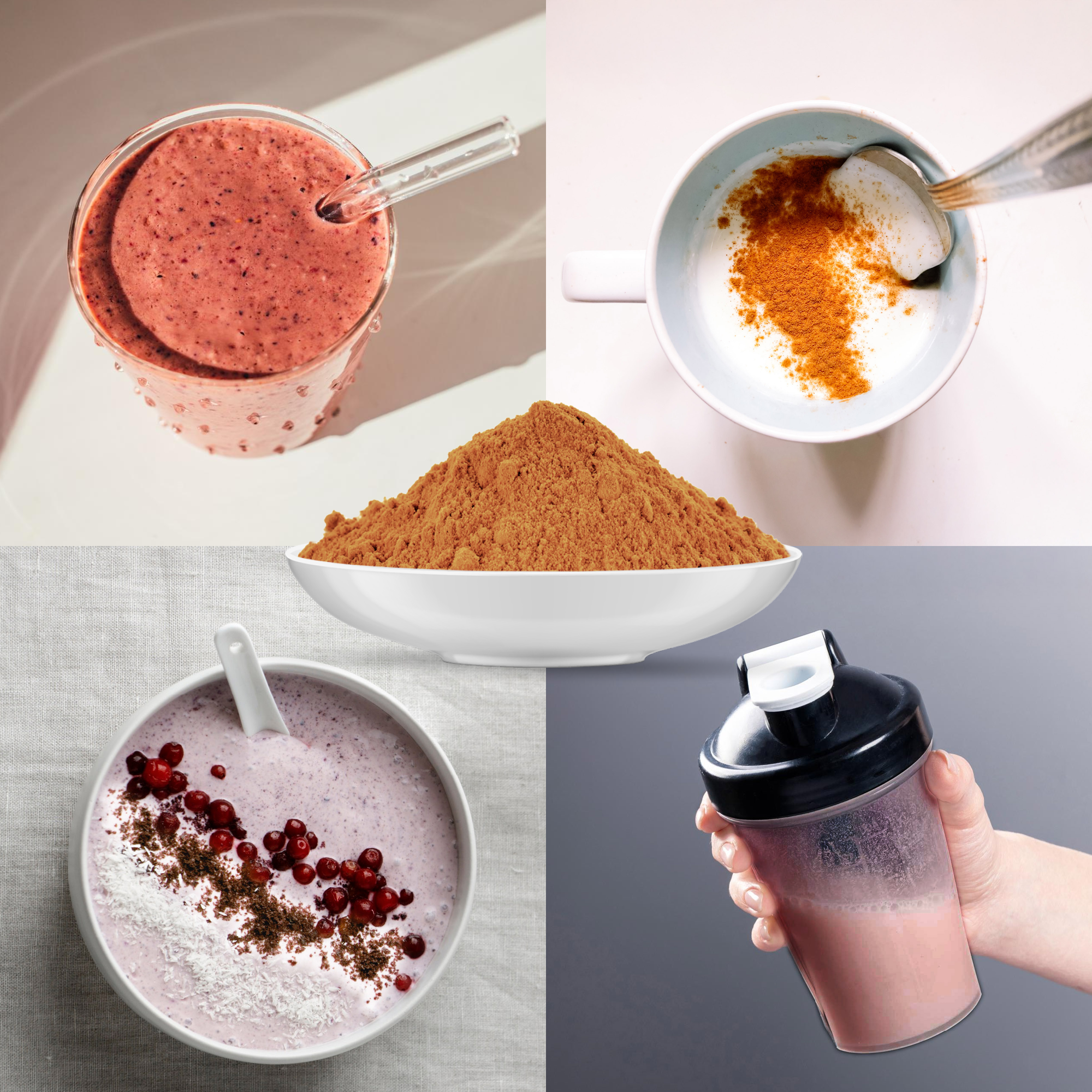 Hagebuttenpulver Bio (500g)