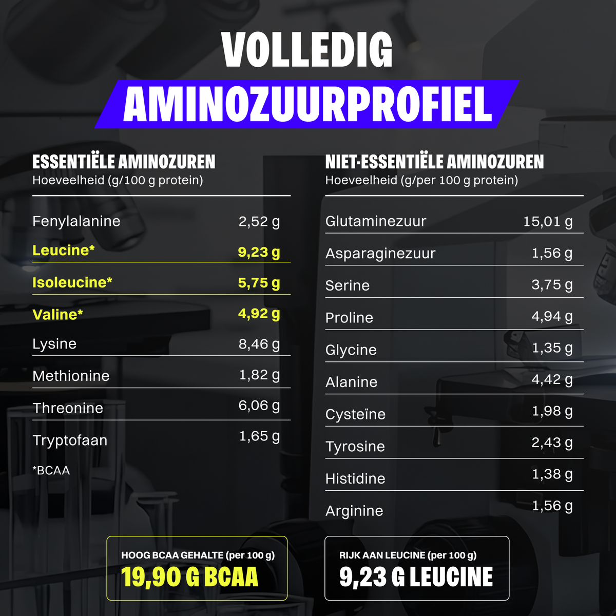 Protéine de lactosérum (1000g)