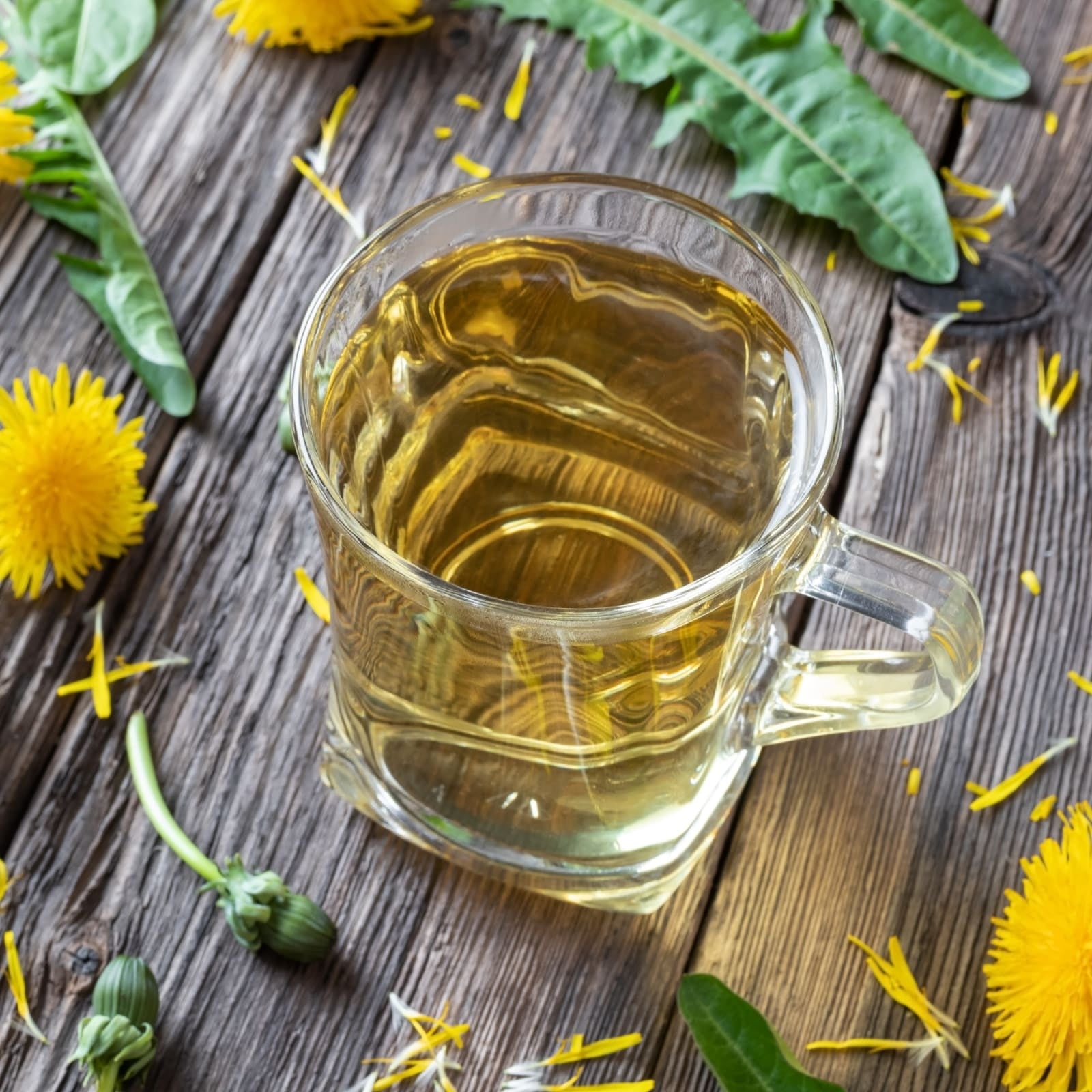 Löwenzahnblätter geschnitten Bio (100g)