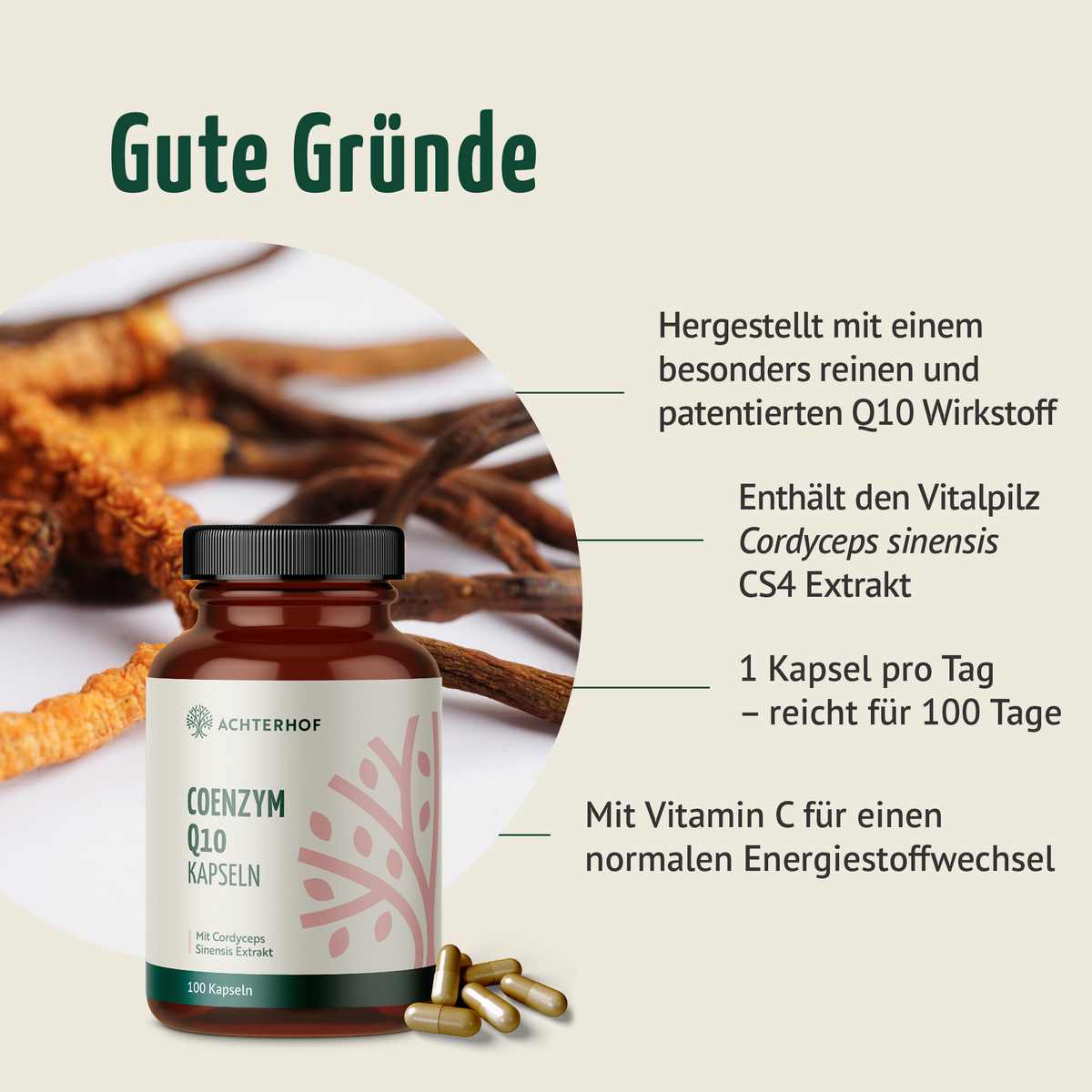 Coenzym Q10 (100 Kapseln)