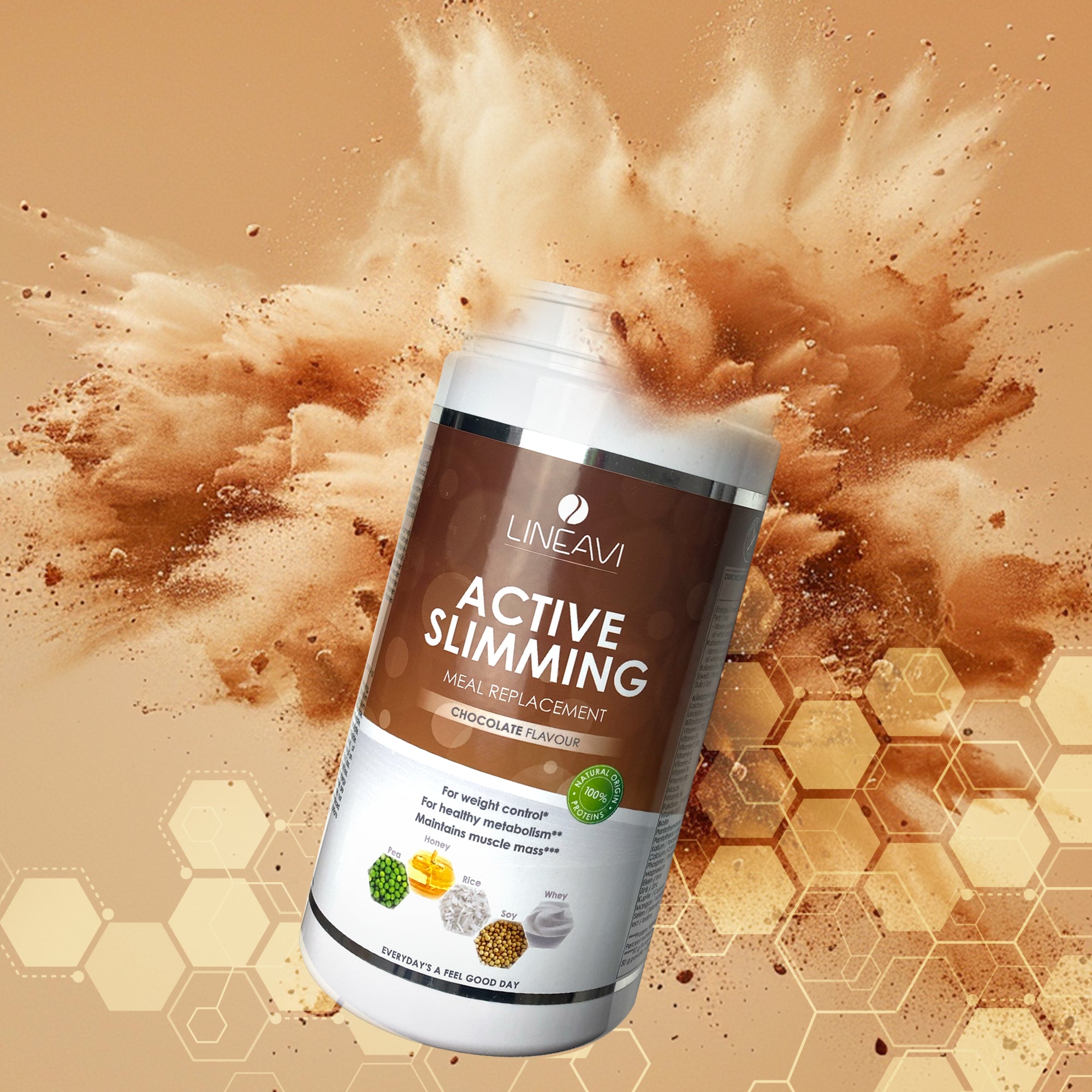 LINEAVI Aktivkost Diät Shake + Shaker (500g)