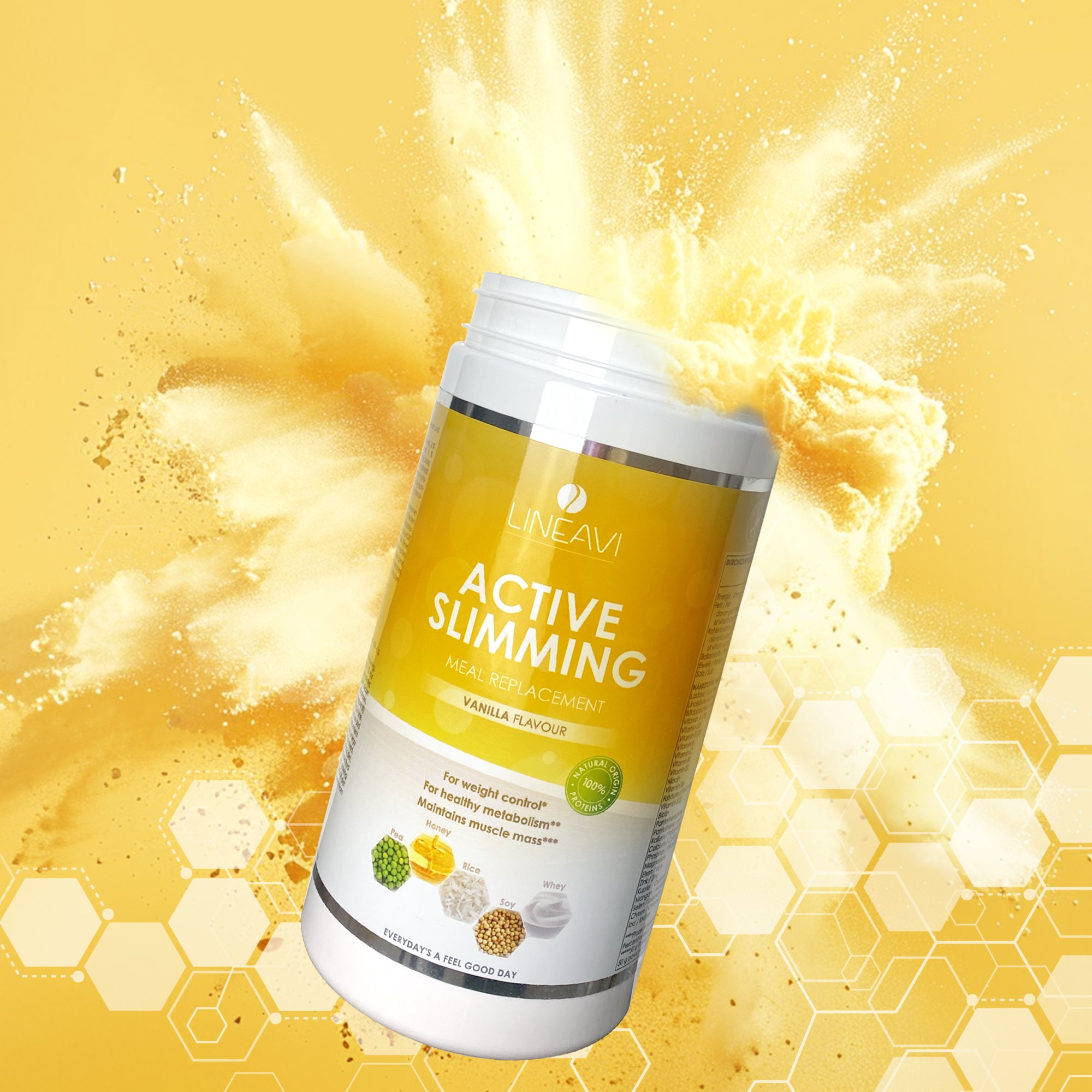 LINEAVI Aktivkost Diät Shake + Shaker (500g)