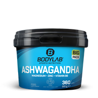 BIG PACK Ashwagandha + Magnesium - Zinc - Vitamin B6 (360 Kapseln)