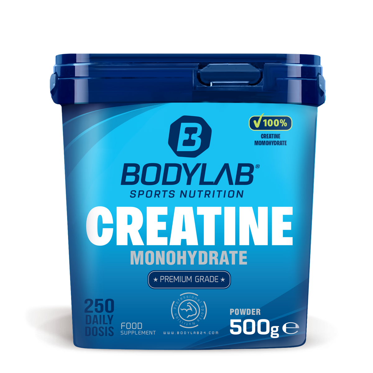 Creatine Powder (500g)