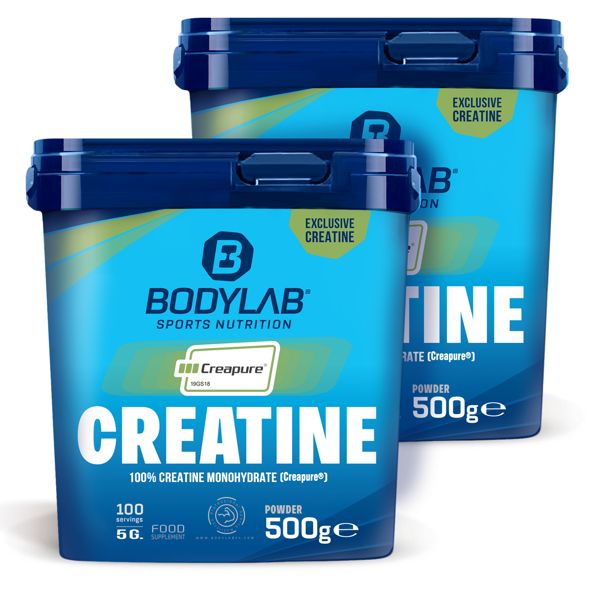 1 kg de créatine (Creapure®) (2 x 500 g)