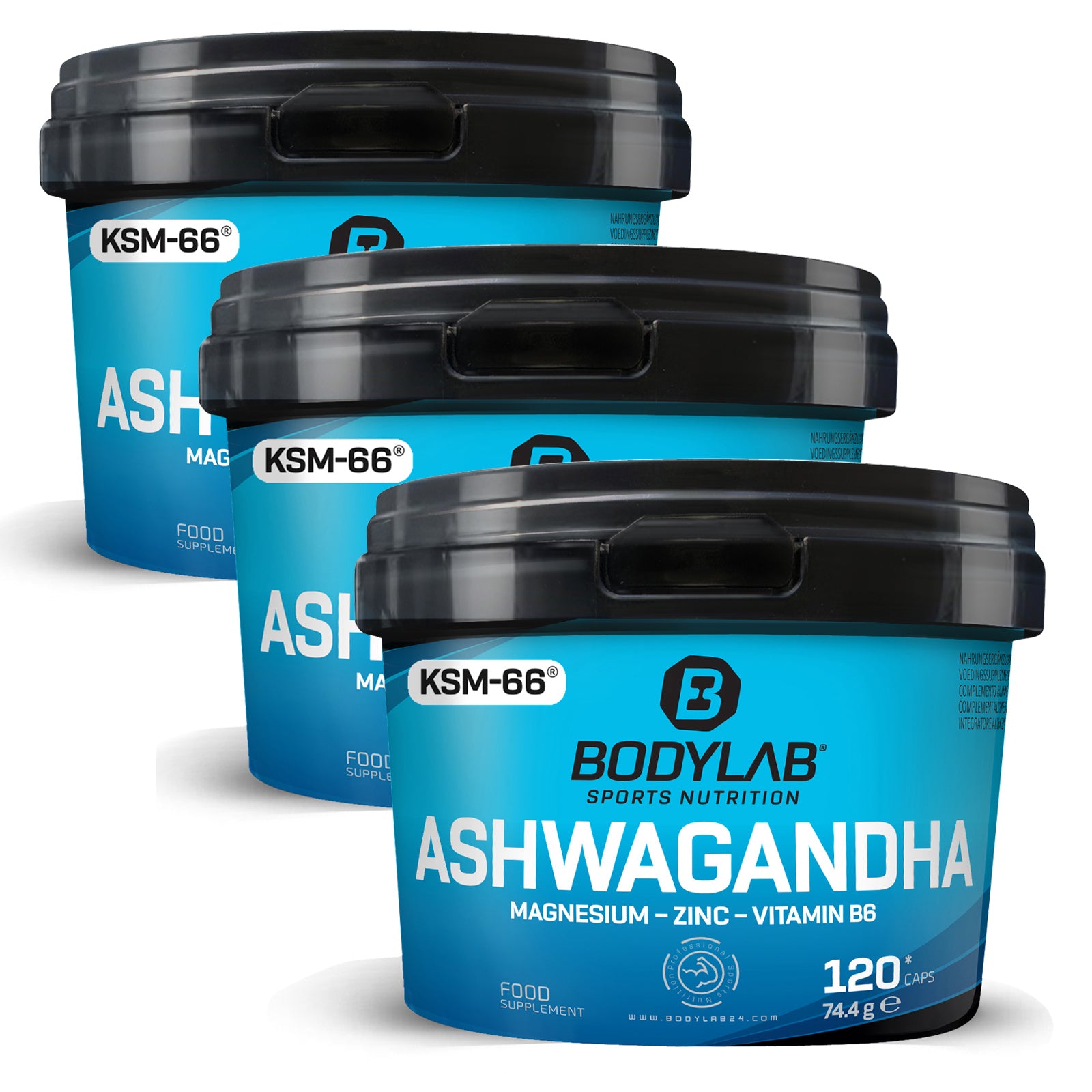 3er Sparpaket Ashwagandha + Magnesium - Zinc - Vitamin B6 (je 120 Kapseln)