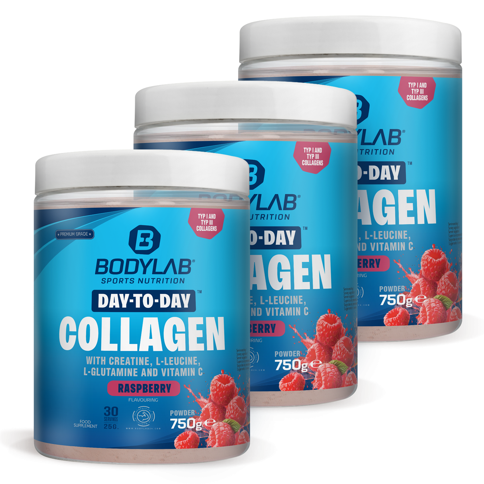 3 x Day to Day Collagen (3 x 750g)