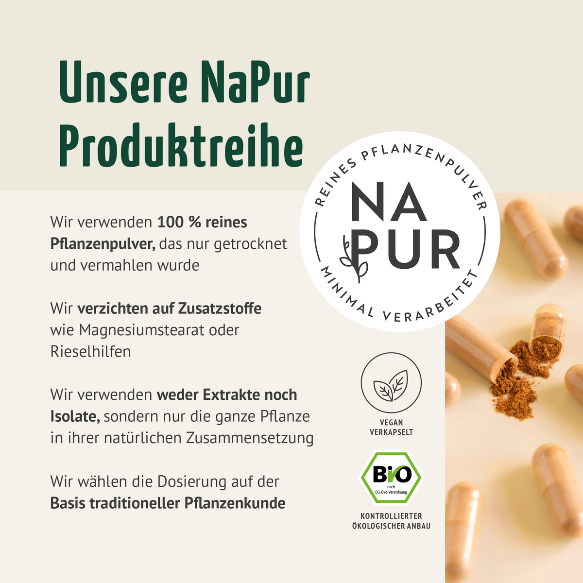 Kurkuma Kapseln Bio (180 Kapseln)
