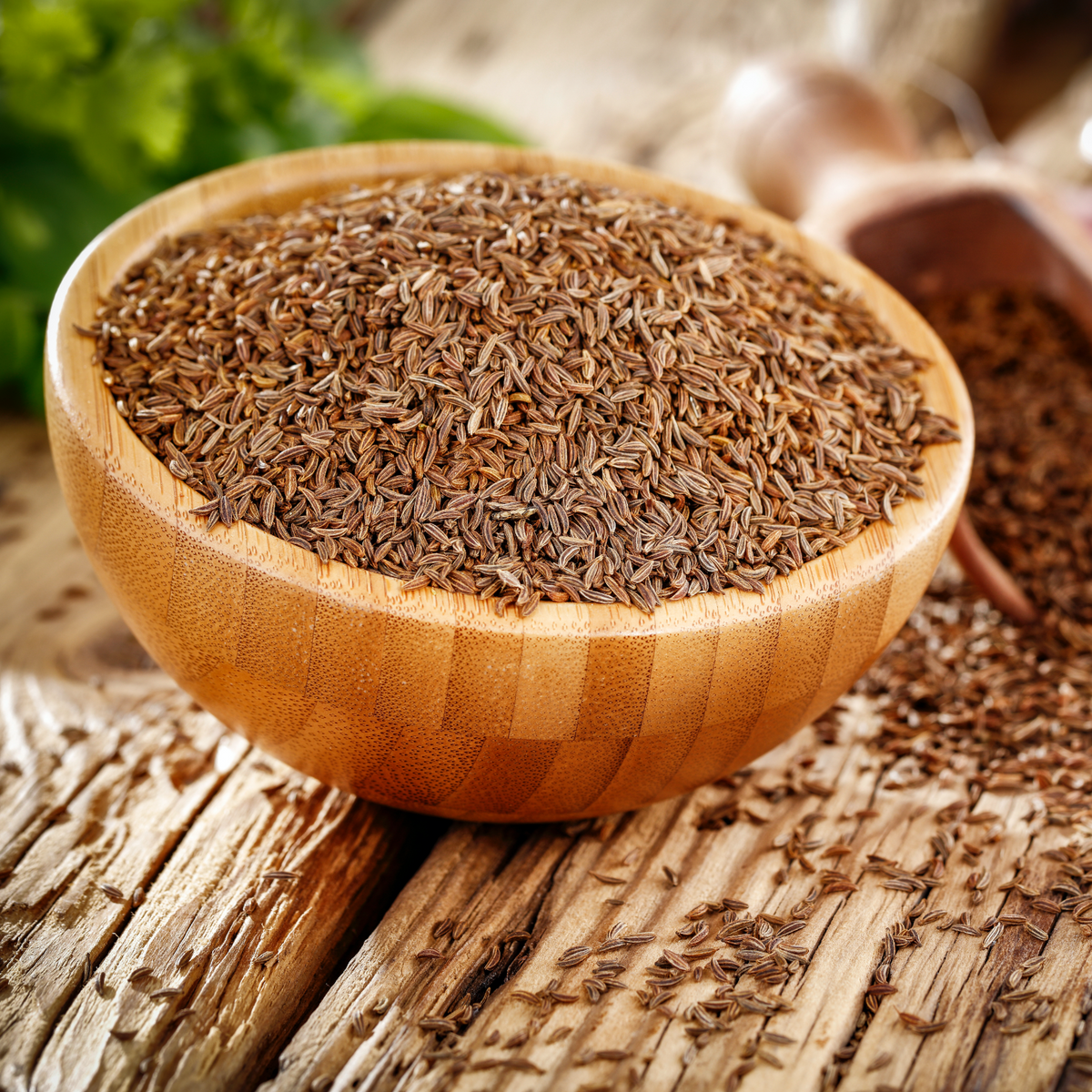 Graines de carvi entières Bio (1000g)