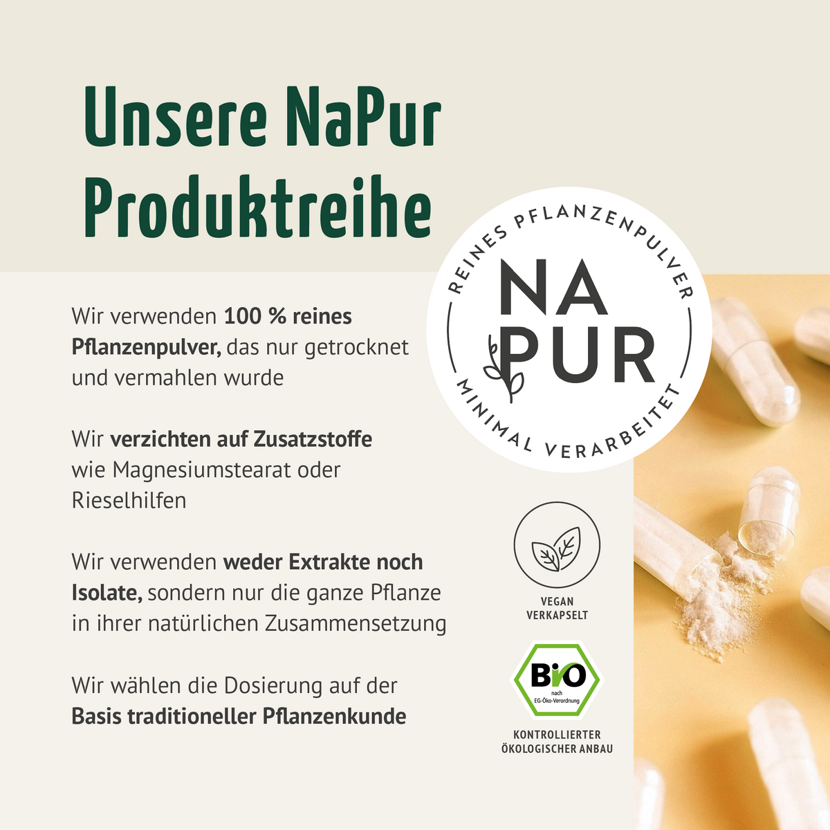 Gélules d'Ashwagandha Bio Recharge (400 gélules)