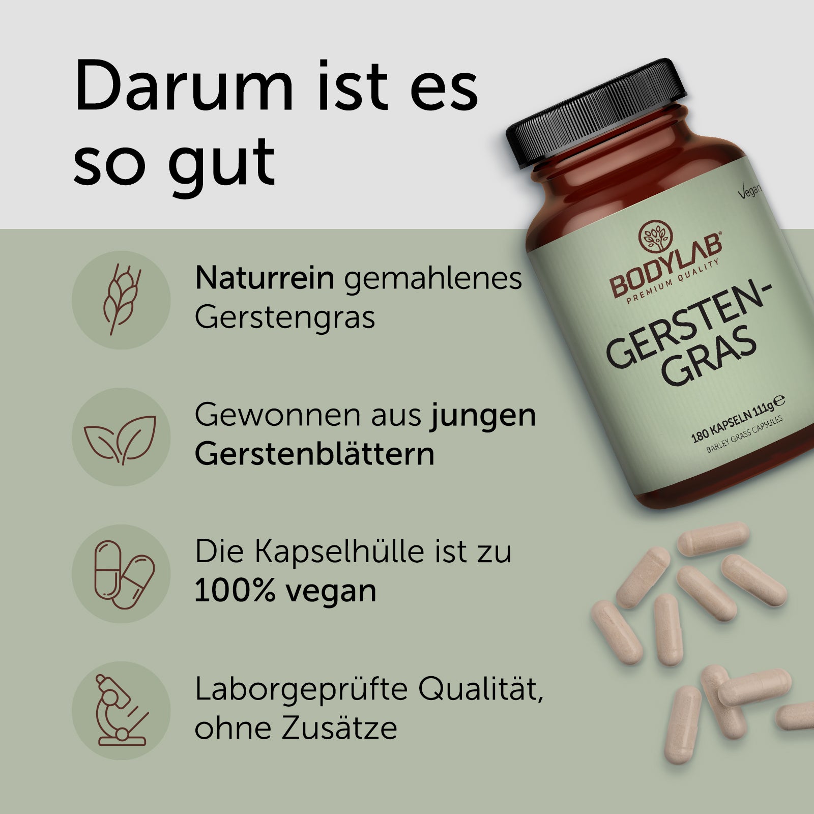 3 x Gerstengras in Kapselform (3 x 180 Kapseln)