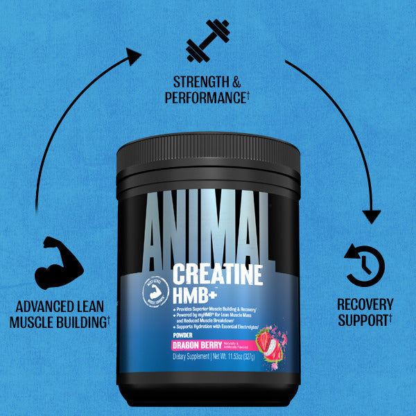 Animal Creatine HMB+ (330g)
