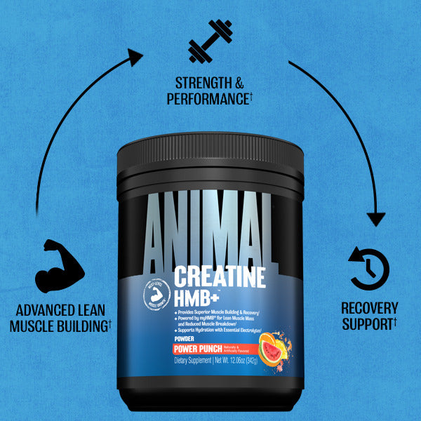 Animal Creatine HMB+ (330g)