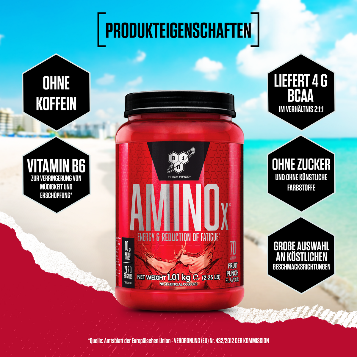 Amino X Acides aminés BCAA (1000g)