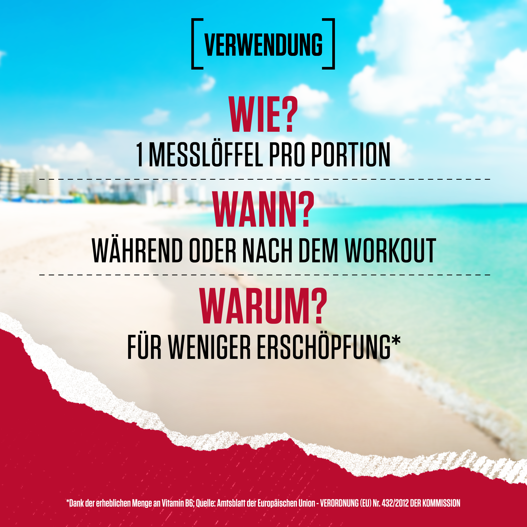 Amino X Aminosäuren BCAA (435g)