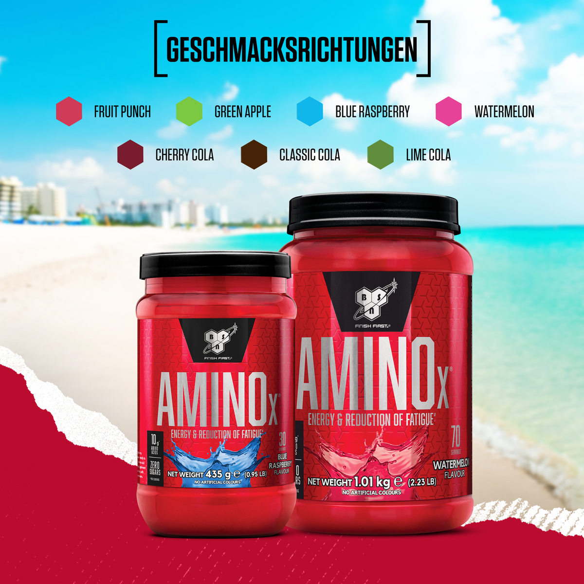 Amino X Acides aminés BCAA (1000g)