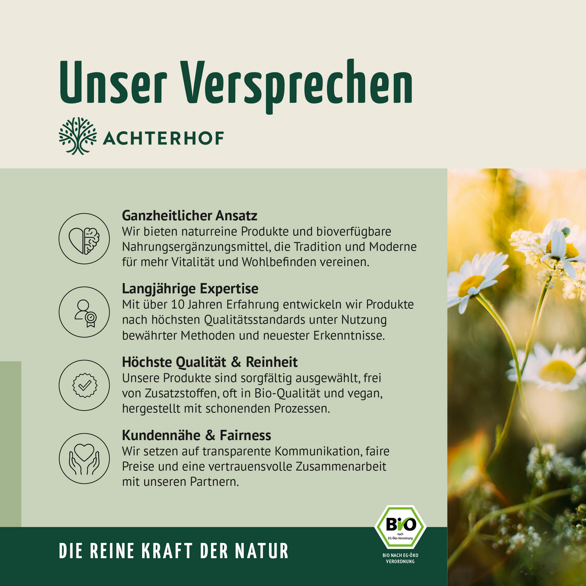 Bio Erbsenprotein Pulver (1000g)