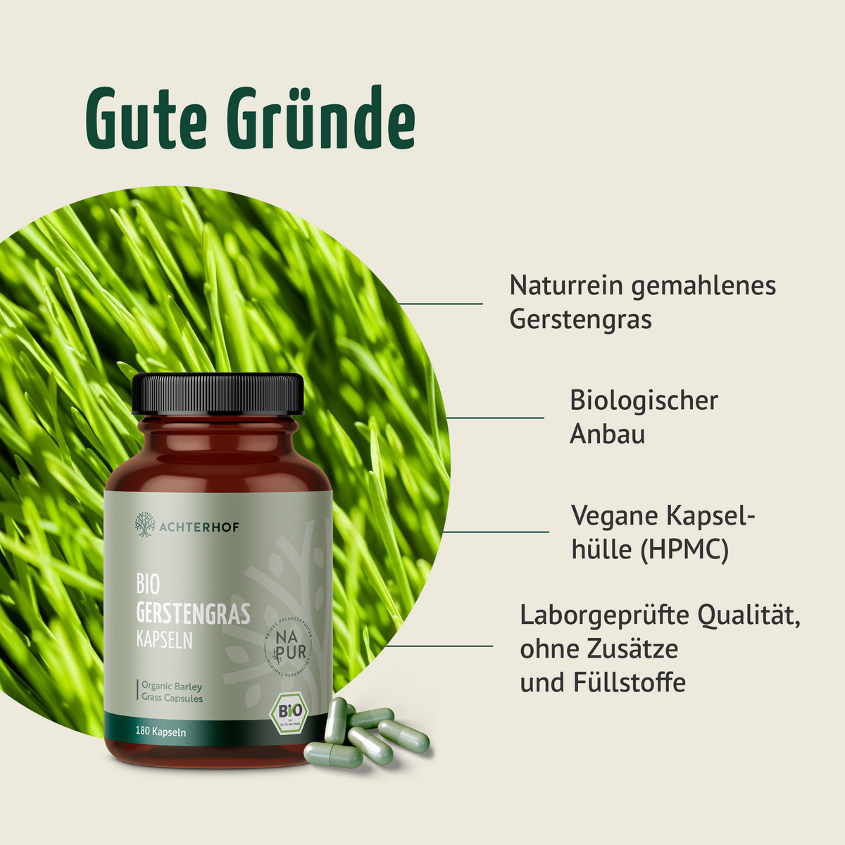 Gélules d'herbe d'orge bio (180 gélules)