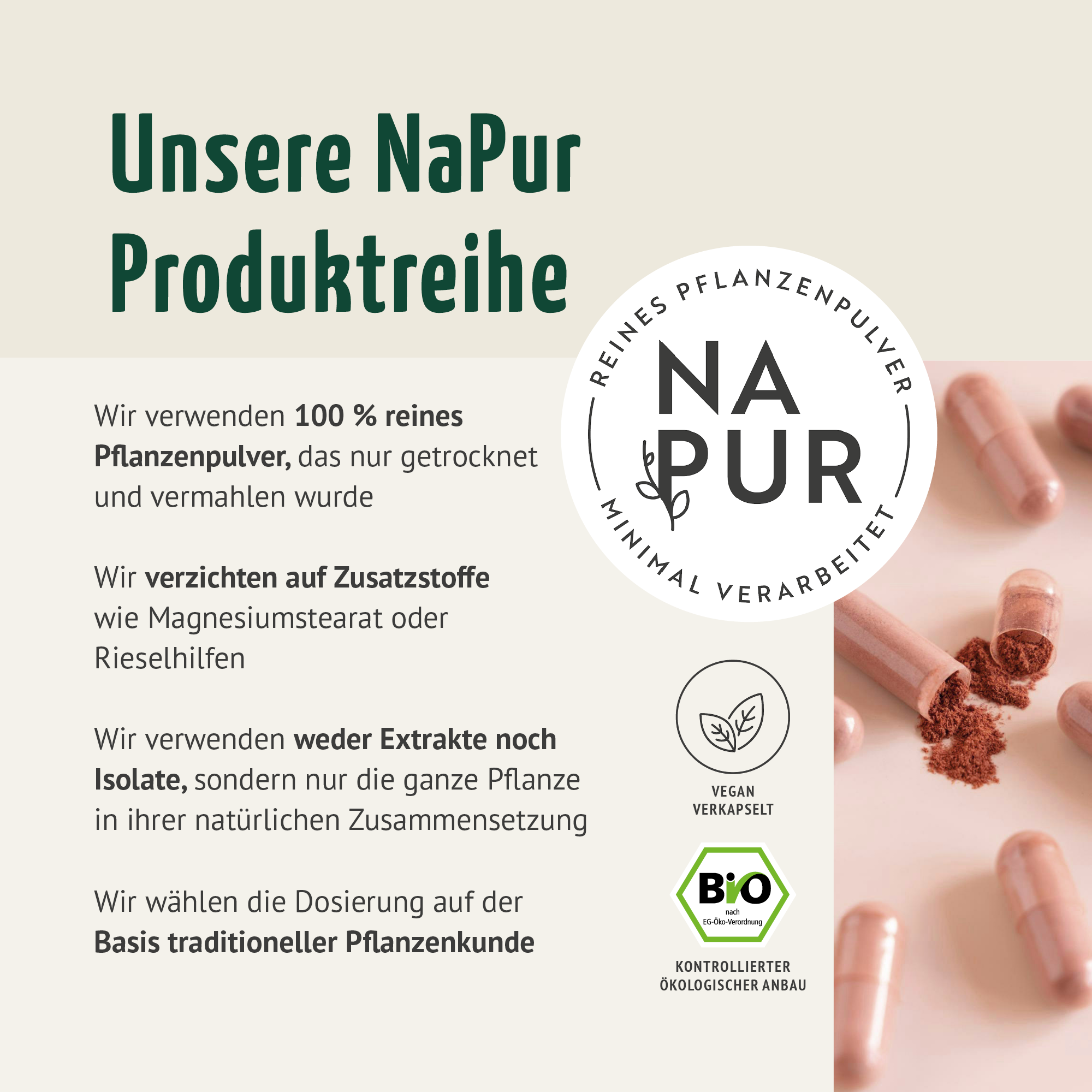 Hagebutten Kapseln Bio Nachfüllpack (400 Kapseln)