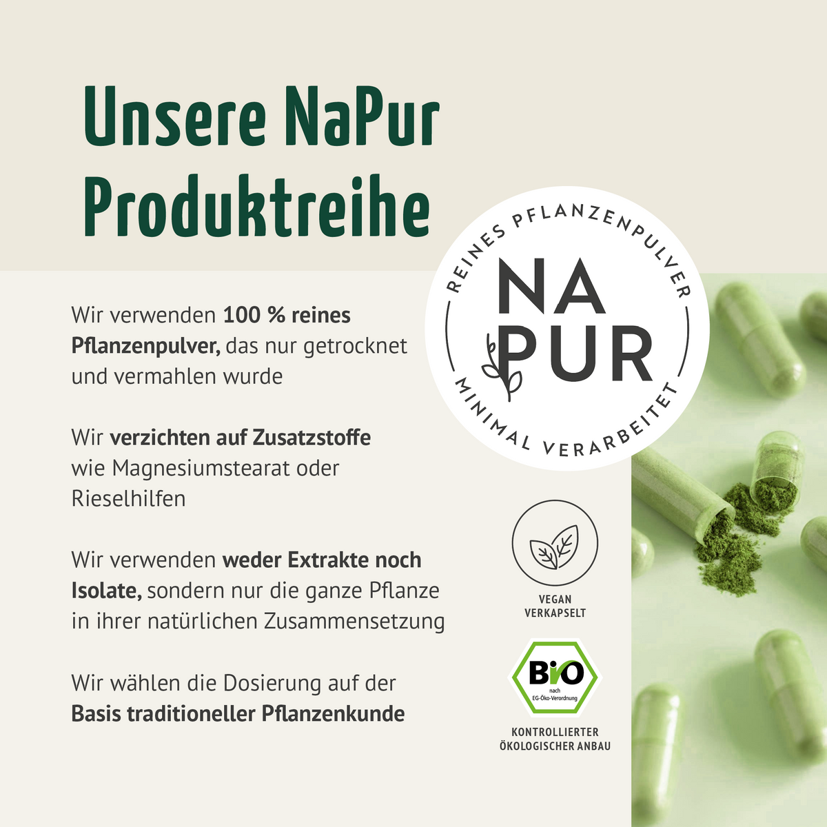 Gélules de Moringa Bio (150 gélules)
