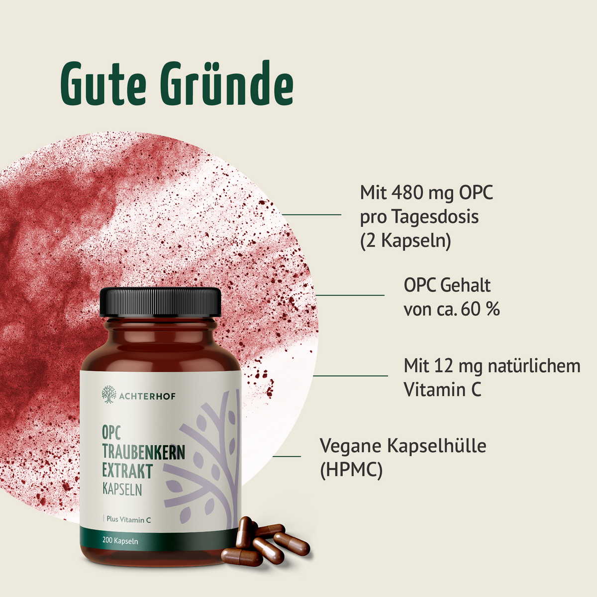 OPC extrait de pépins de raisin + vitamine C gélules (200 gélules)