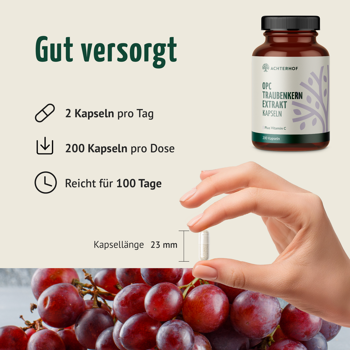 OPC extrait de pépins de raisin + vitamine C gélules (200 gélules)