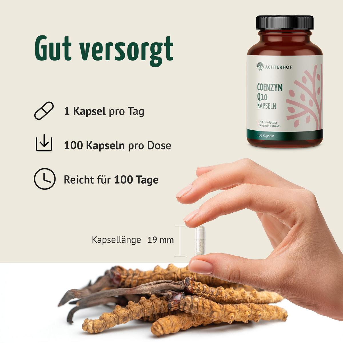 Coenzym Q10 (100 Kapseln)