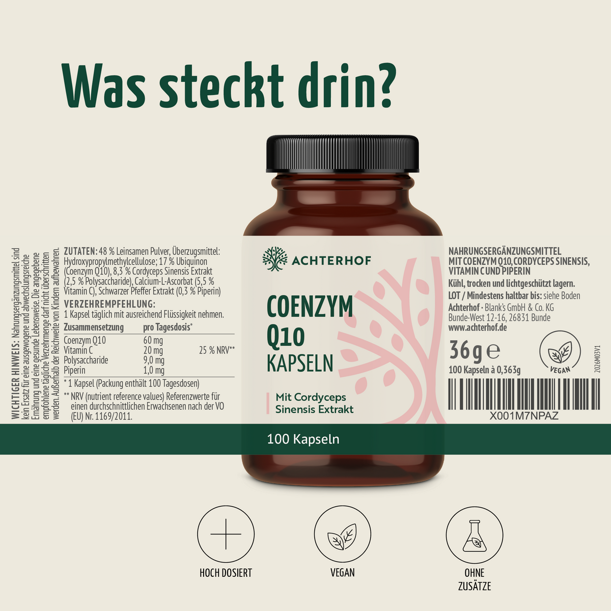 Coenzym Q10 (100 Kapseln)
