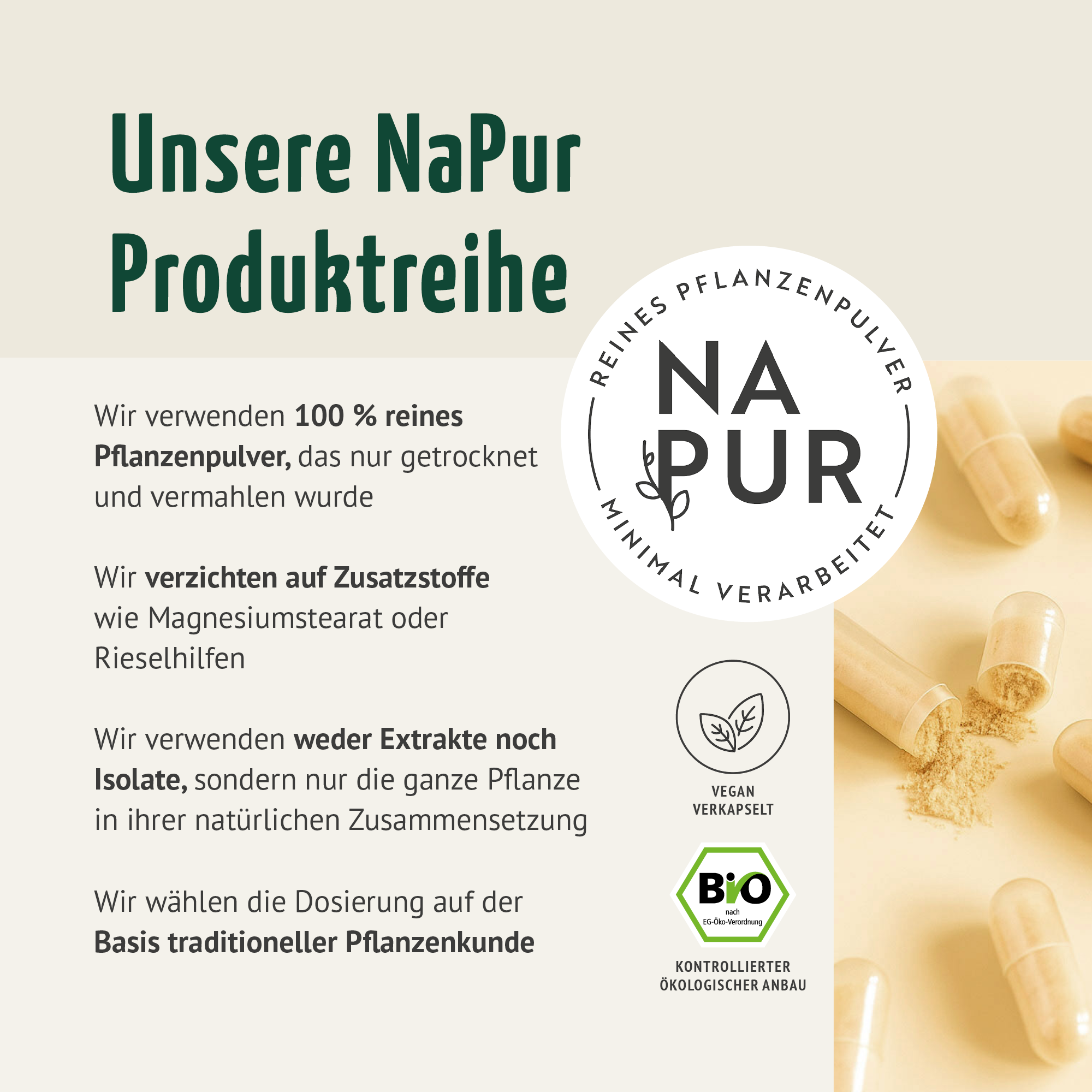 Triphala gélules bio recharge (400 gélules)