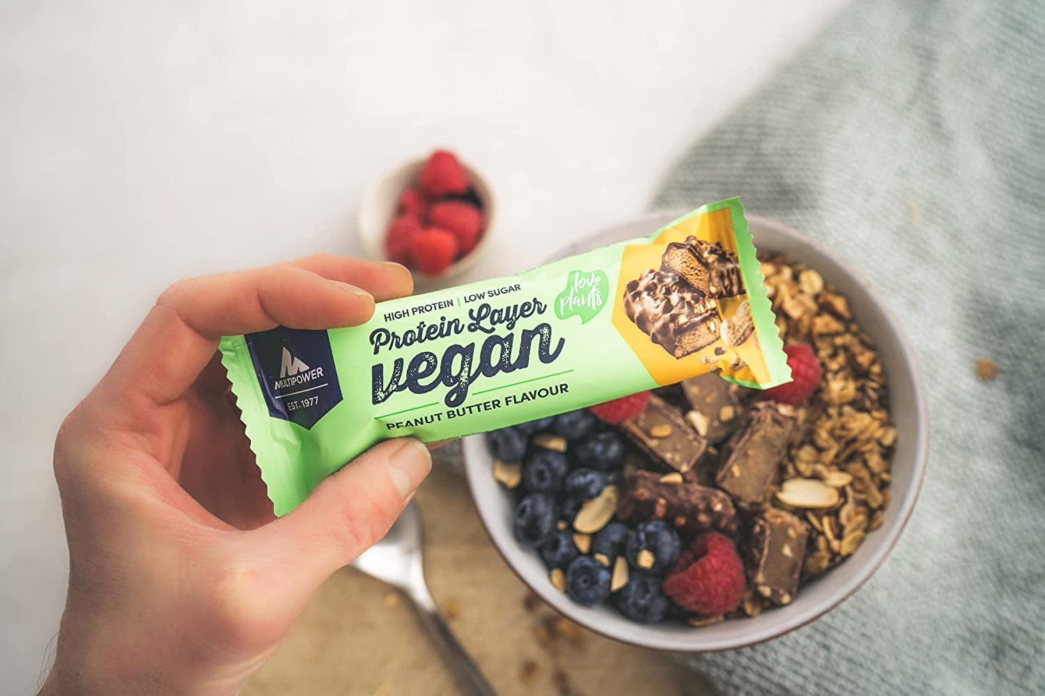 Vegan Protein Layer (15x55g)