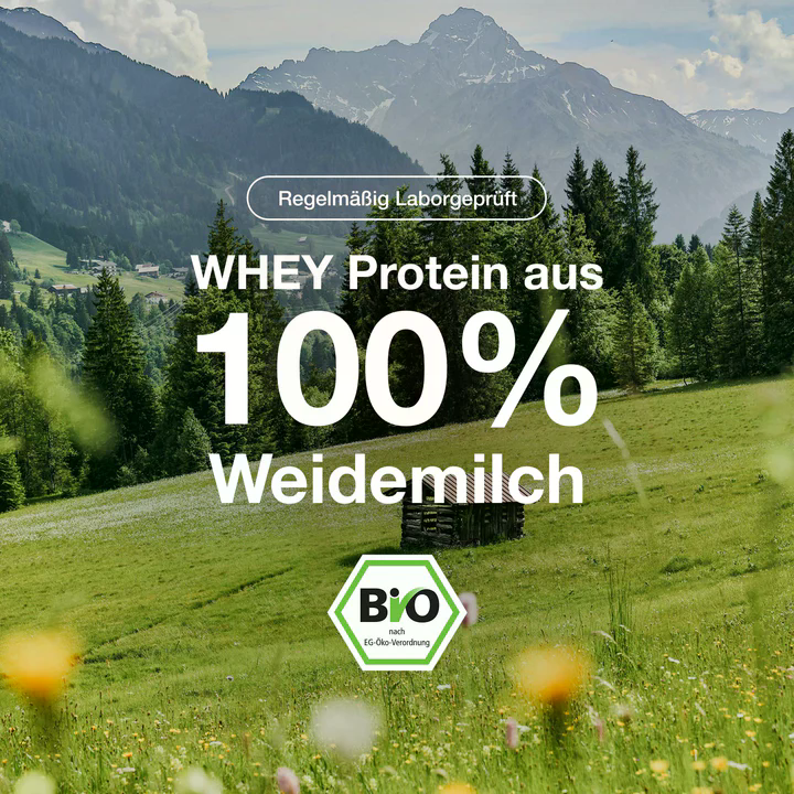 Protéines de lactosérum bio (1000g)